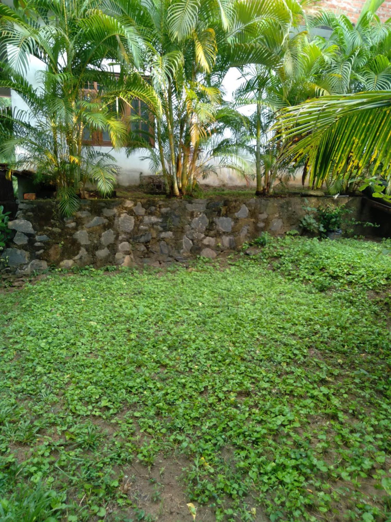 Home In The Island Tangalle Exterior foto